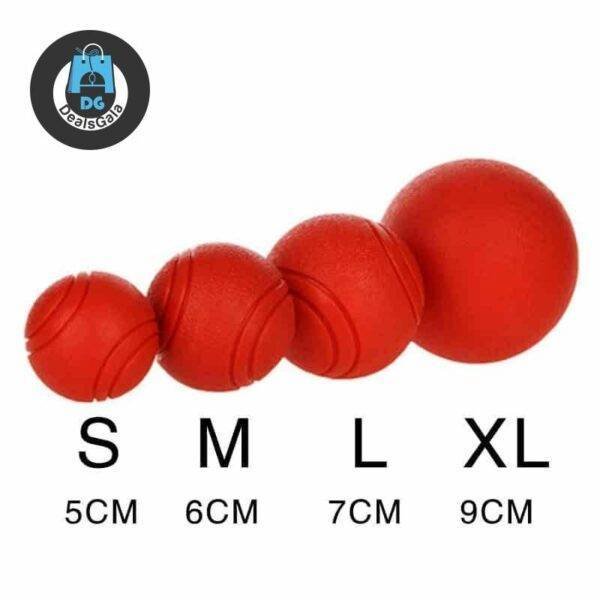 Dog Toy Rubber Ball Pet supplies cb5feb1b7314637725a2e7: L|M|S|XL