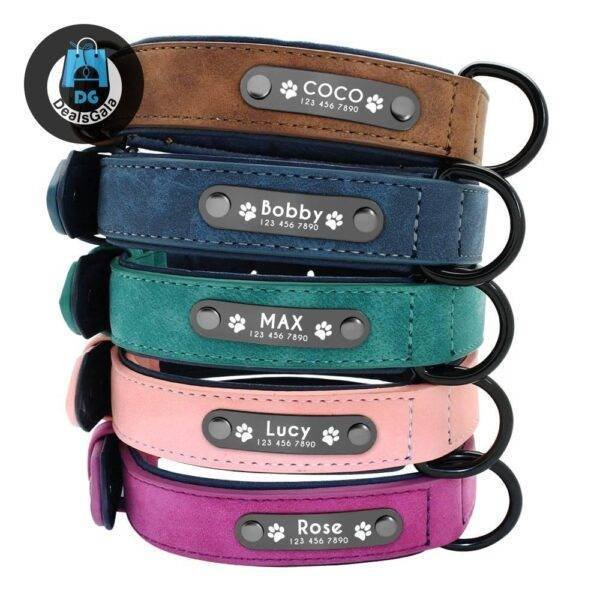 Dog’s Leather Collar with ID Tag Pet supplies cb5feb1b7314637725a2e7: Blue|Coffee|Green|pink|Purple