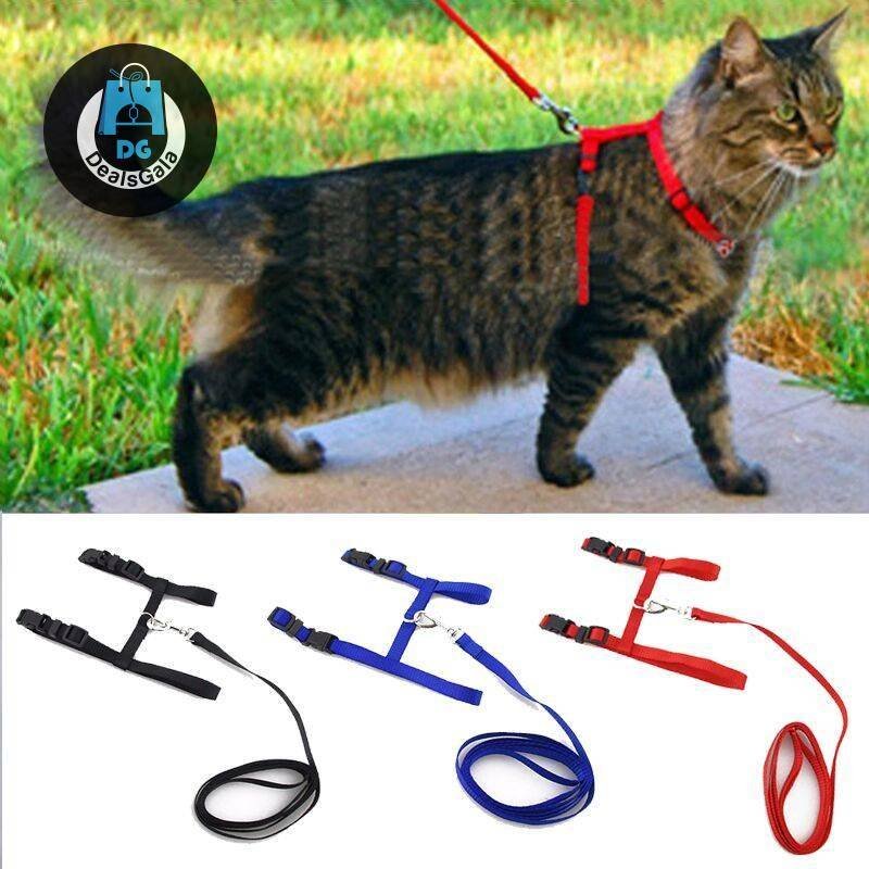 Adjustable Cat Walking Harness Pet supplies cb5feb1b7314637725a2e7: 2pcs|2pcs|2pcs|2pcs|2pcs|Black|Blue|new style camo|new style red|Red|Yellow