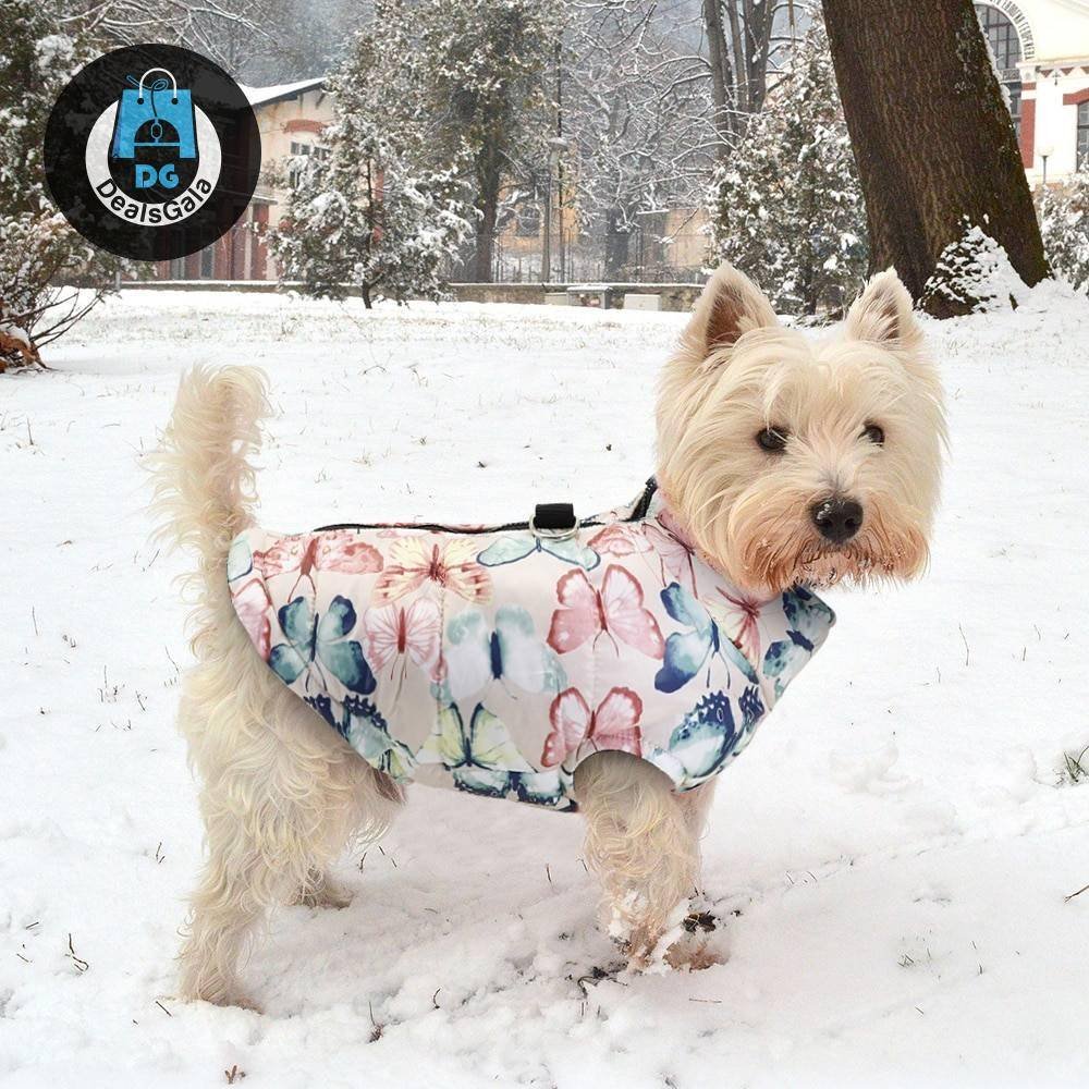Waterproof Winter Dog Vest