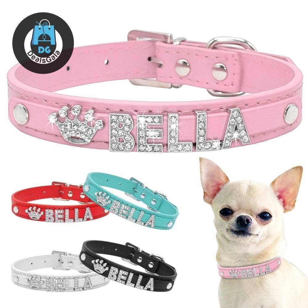 Dog’s Bella Crystal Collar Pet supplies cb5feb1b7314637725a2e7: Black|Blue|pink|Red|White