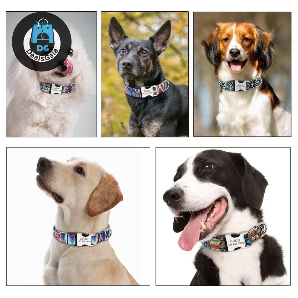Personalized Nylon Tag Collar Pet supplies cb5feb1b7314637725a2e7: Blue|BlueBlack|DBlue|Green|LBlue|PU|RedGreen|Rose