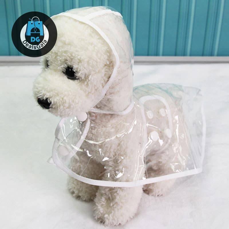 Waterproof Transparent Dog Raincoat Pet supplies cb5feb1b7314637725a2e7: orange|Rose Red|White|Yellow
