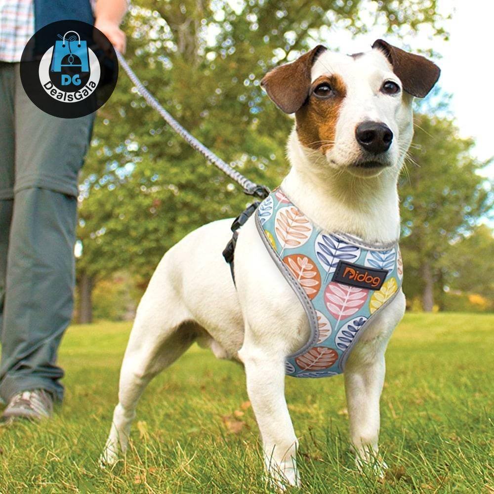 Breathable Printed Nylon Dog Harness Vest