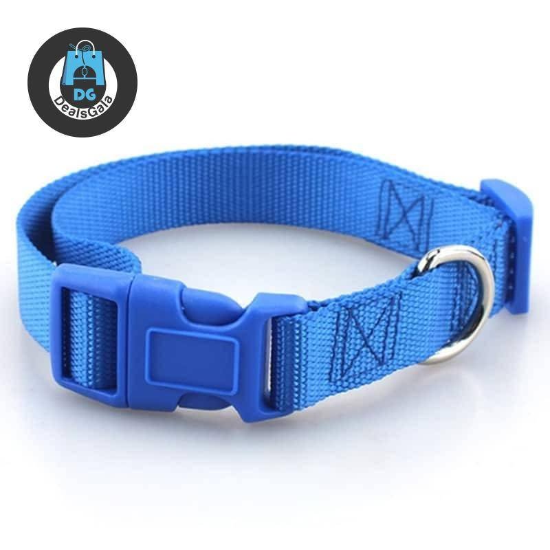 Simple Nylon Collar for Pets Pet supplies cb5feb1b7314637725a2e7: Black|Blue|Grey|Light Brown|Red|Sky blue