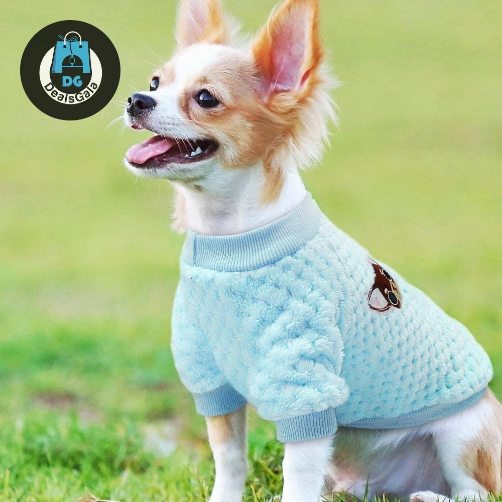 Cute Winter Clothes For Small Dogs