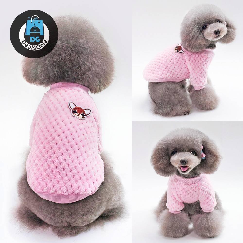 Cute Winter Clothes For Small Dogs