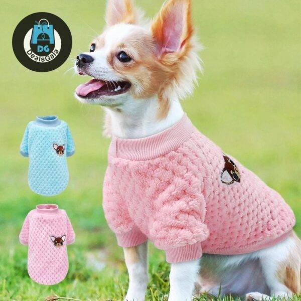 Cute Winter Clothes For Small Dogs Pet supplies cb5feb1b7314637725a2e7: Blue|pink