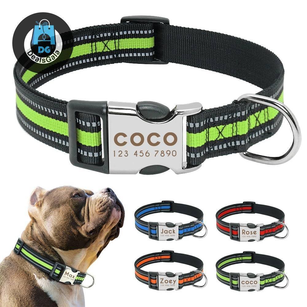 Dog's Striped Reflective Collar