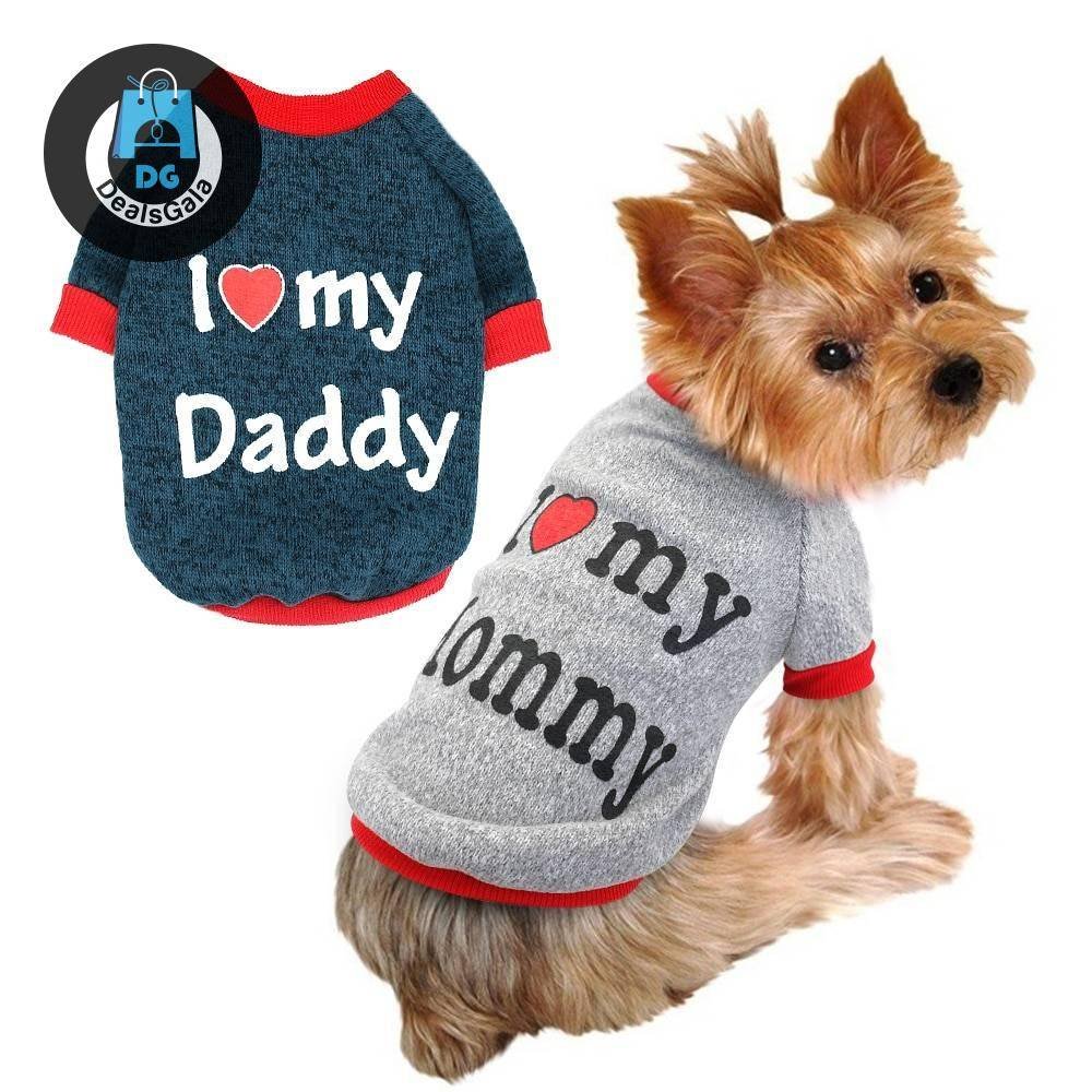 Autumn / Winter Clothing For Small Dogs Pet supplies cb5feb1b7314637725a2e7: Daddy|Mommy