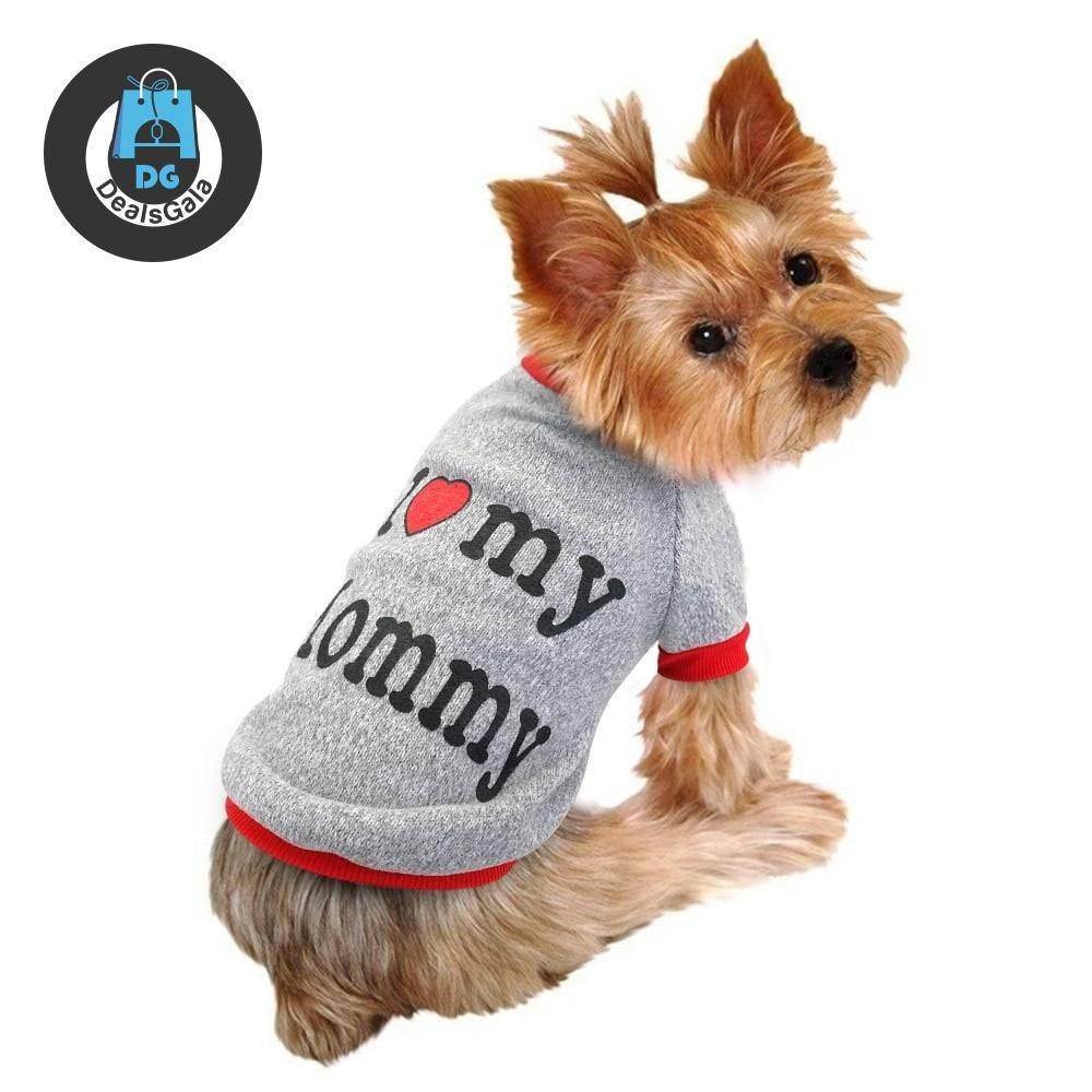 Autumn / Winter Clothing For Small Dogs