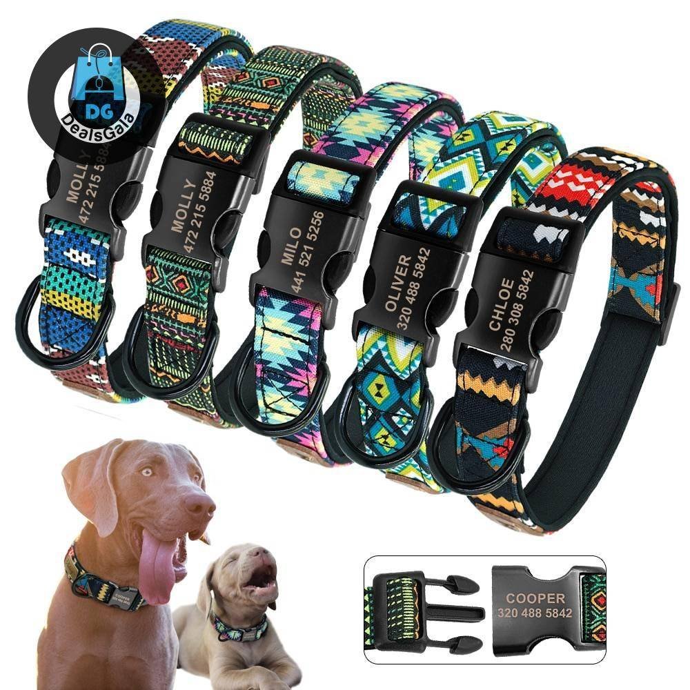 Personalized Nylon Dog Tag Collar