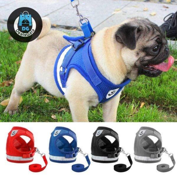 Dog Harness and Leash Sets Pet supplies cb5feb1b7314637725a2e7: Black|Blue|Gray|Red