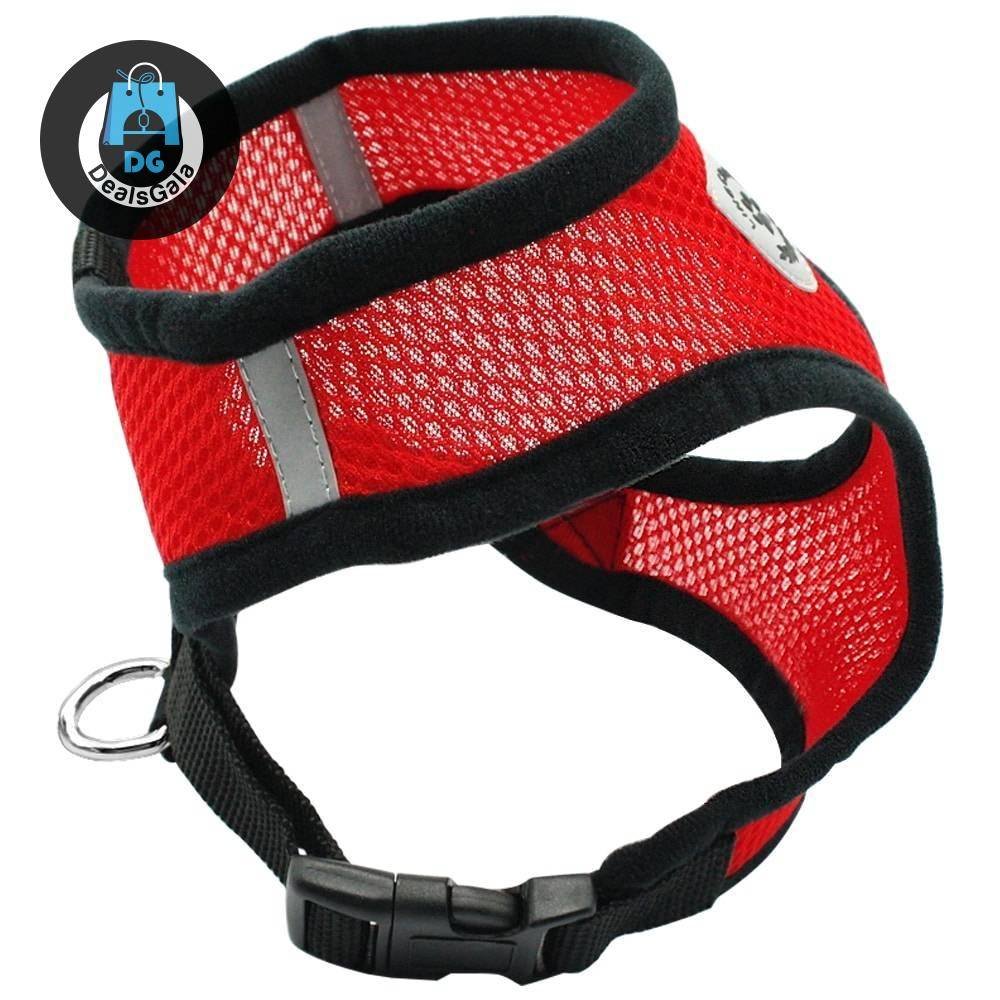 Soft Breathable Nylon Dog Harness and Leash Set Pet supplies cb5feb1b7314637725a2e7: Black|Blue|pink|Red