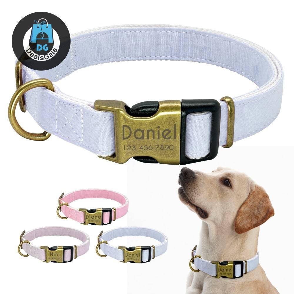 Dog's Pastel Color Collar